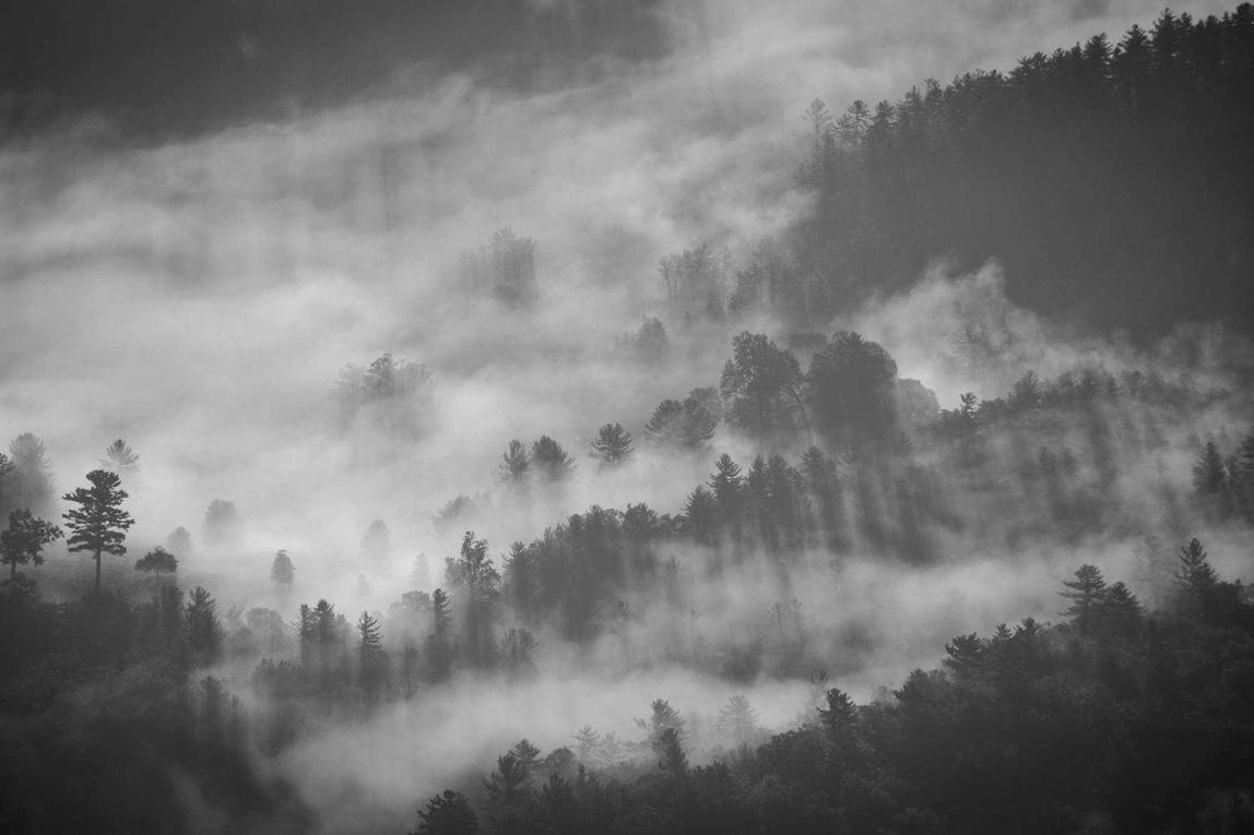 Quia ex voluptas amet quia blanditiis